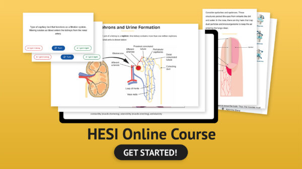 HESI A2 Online Course