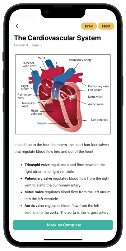 2 - Cardiovascular Lesson Screenshot